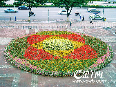 正文     12个花坛扮靓城市   本报讯10万盆鲜花盛放在节日广州的街头