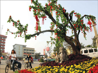 连云港市区竖起一棵\吉祥树
