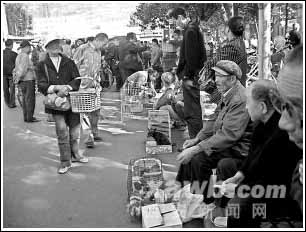 狗市占道 恶狗咬人(图)