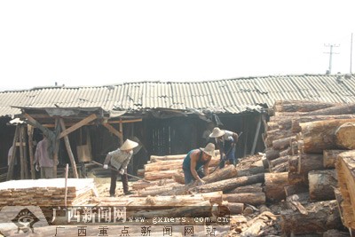 曾发火灾而隐患仍严重 南宁一木材厂将被取缔