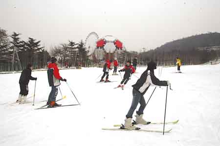 节日景劳动公园滑雪场内在此练习滑雪的市民兴趣盎然图