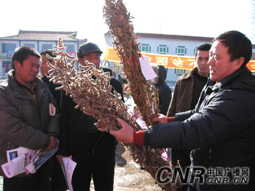 鲅鱼圈农民人口_...图为四段职工、农民工在鲅鱼圈牵引变电所进行安全质量宣