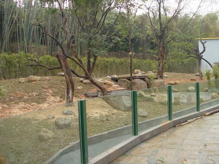 卧龙大熊猫只听懂四川话豪华住所耗资千万(图)