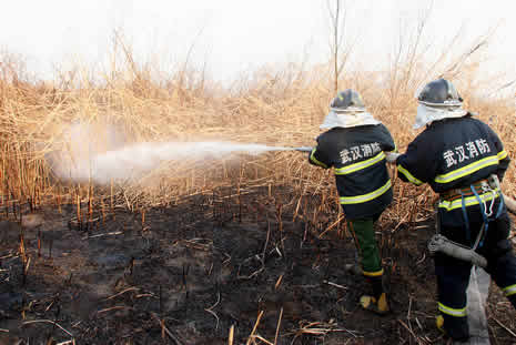 长江丹水池段滩地失火 消防员冒险开辟隔离带