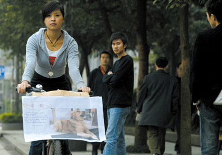 情侣骑自行车挂广告牌全城寻找爱犬(图)
