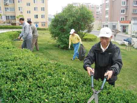 大连中山区盛行爱心币换免费服务(图)