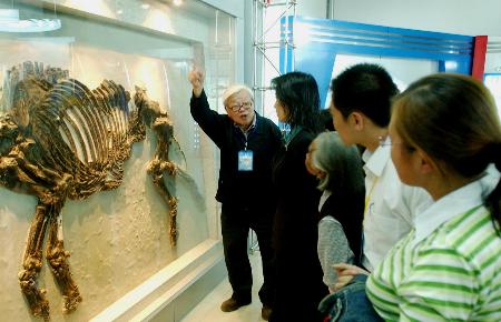 著名古生物学家,中国地质大学教授李凤麟(左一)向参观者介绍犀牛化石