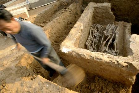 图文:〔社会〕(4)安阳出土大型战国时期的排葬坑群