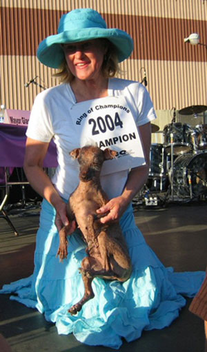 世界最丑宠物狗14岁在美国加州去世(组图)