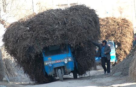 图文:"小马"拉"大车"(2)