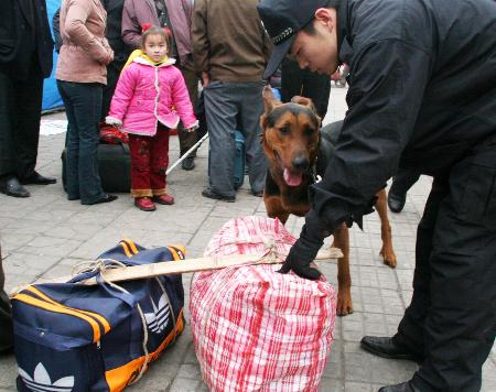 图文:一只搜爆犬在武昌火车站检查行李