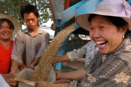图文:河南汤阴县农民在田间收获小麦