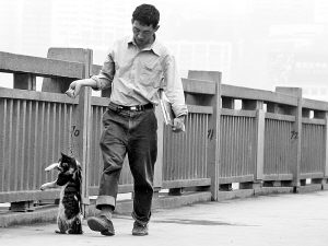 男子在重庆长江大桥上虐猫引起网友声讨(组图)