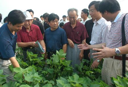 图文:全国棉花无土育苗新技术现场观摩交流会