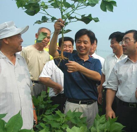 棉花镇人口_惜福镇棉花村