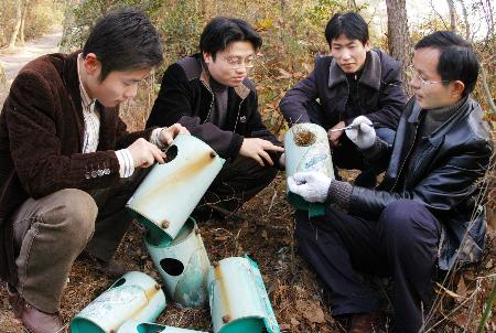 图文:浙江上虞安装人工鸟巢防虫害