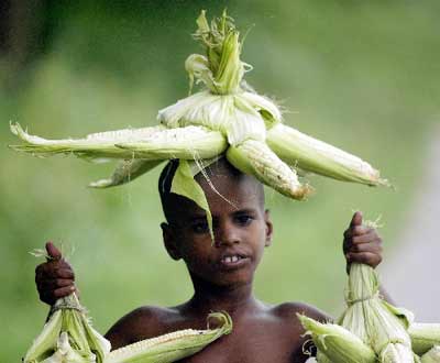 图文:卖玉米的印度男孩
