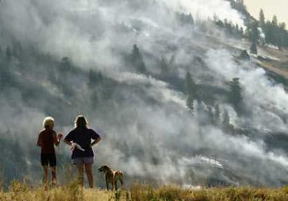 图文:加拿大西部发生森林火灾 大批灾民逃离家