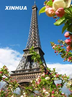 鲜花在法国首都巴黎埃菲尔铁塔下盛开