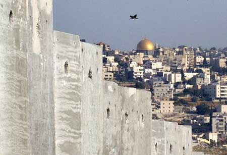 国际法院裁定以色列修建隔离墙非法应拆除(图)