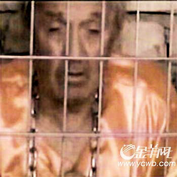 费卢杰惊现人质恐怖屋组图