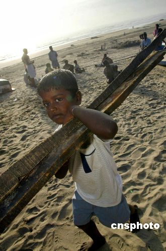图文：印度洋海啸灾民抗灾自救