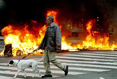 图文:西班牙火墙前遛狗的男人