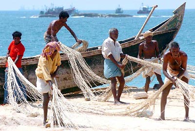 图文:印度海啸受灾渔民恢复出海捕鱼