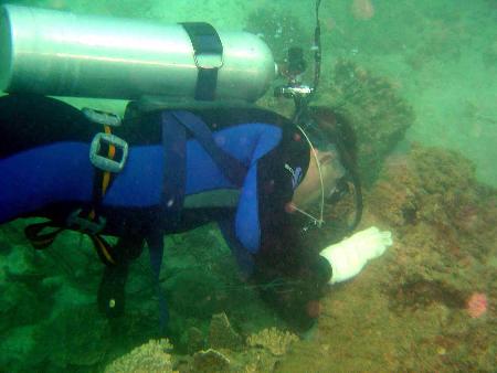 图文:中国志愿潜水员在泰国清理海底杂物(1)