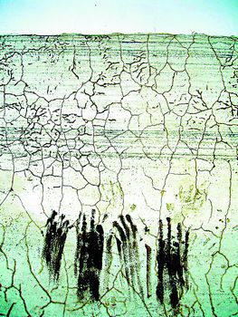 宁安镇人口_宁安风景图片