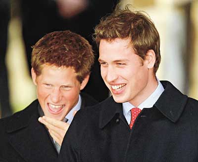 英国威廉与哈里王子将客串美国动画片(图)
