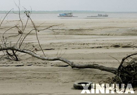 组图:亚马孙河流域遭受40年来最大干旱