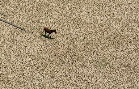 组图:亚马孙河流域遭遇数十年来最严重干旱