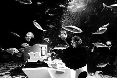 英国伦敦一名水族馆管理人员在水下模拟办公室