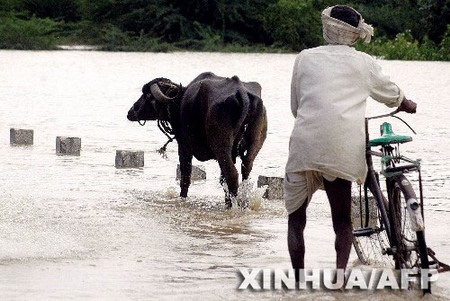 孟加拉湾海鲜_海鲜图片大全_海鲜面