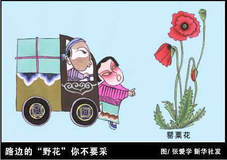 动态:表情蓝色:(新华漫说国际禁毒日)路边图表猫咪漫画包图文图片