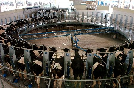 图文:[经济纵横](1)蒙牛乳业集团国际牧场建成运