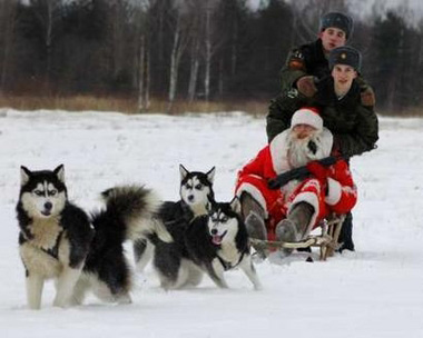 图文:俄军圣诞老人乘军犬雪橇手持步枪送礼