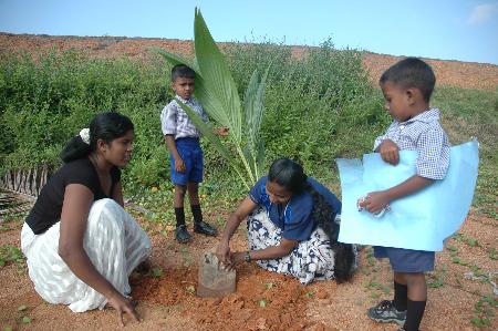 图文：斯里兰卡村民们在海岸边种上椰子树