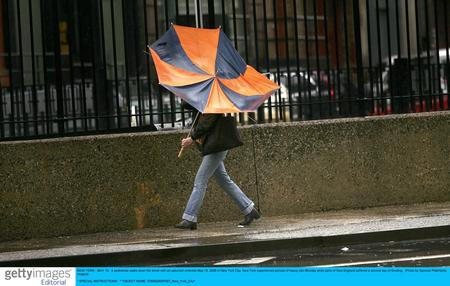 图文:纽约星期一风雨交加_新闻中心_新浪网