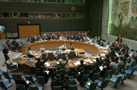 图文:联合国安理会成员国代表举手表决