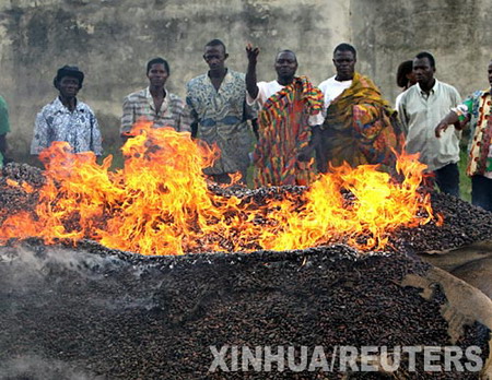 图文:科特迪瓦农民焚烧可可豆抗议