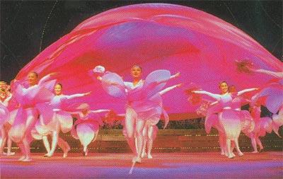图文:第三届校园春节晚会的舞蹈《梅吟》