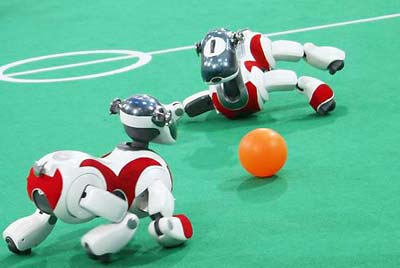 图文:机器人踢足球 看看谁更专业