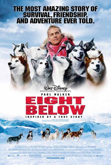 《南极大冒险》上映在即雪橇犬做首映嘉宾(图)