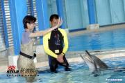 组图：梁咏琪当大使与海豚亲密接触产生感情