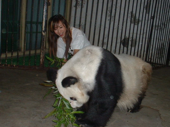歌手Sara与百岁熊猫共度狂欢节(组图)