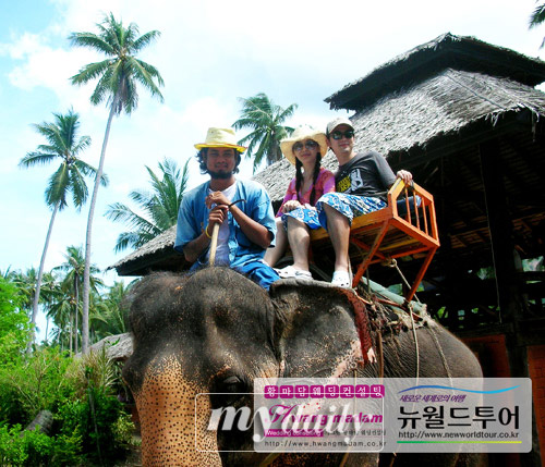 河莉秀夫妇公开泰国蜜月旅行照 甜蜜恩爱【图】