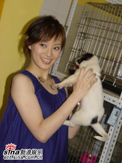 组图:孙俪代言动物保护大使上海助养流浪猫