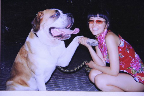 杨欣为宠物巨犬寝食难安继续征求好人家(组图)